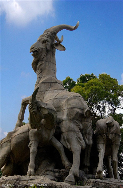 打造茶叶爱好者的交流圣地 打造茶叶爱好者的交流圣地